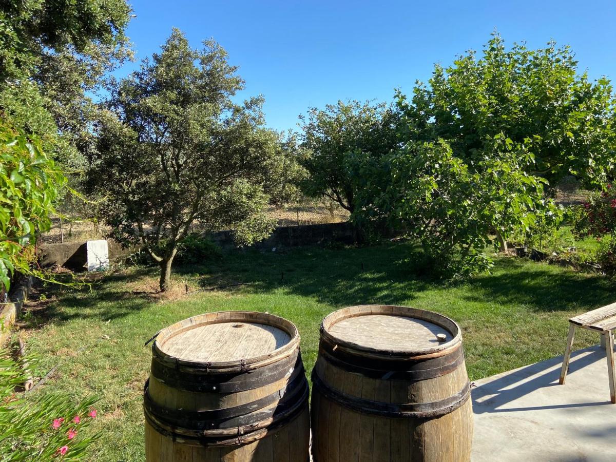 Gite A La Ferme Clansayes 外观 照片